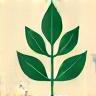 Eco-responsable